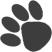 Pawsitve Adventures - Paw around here!