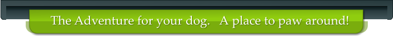 The Adventure for your dog.   A place to paw around!