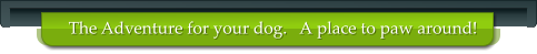 The Adventure for your dog.   A place to paw around!